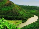 AMAZONAS