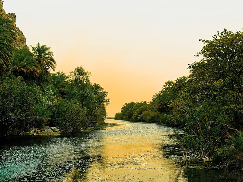AMAZONAS